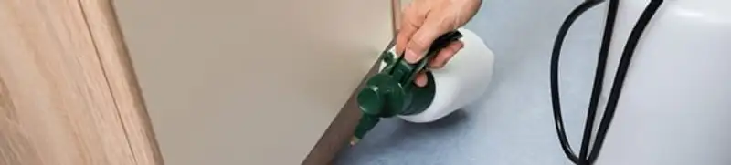 Bed bug exterminator treating baseboards and cracks with targeted spray in Columbus, OH