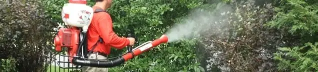 Mosquito control technician fogging shrubs and landscaping for mosquito treatment in Columbus, OH