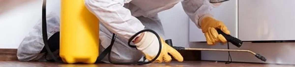 Roach exterminator treating cracks and crevices along kitchen baseboards in Columbus, OH