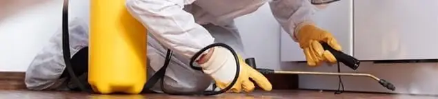 Roach exterminator treating cracks and crevices along kitchen baseboards in Columbus, OH