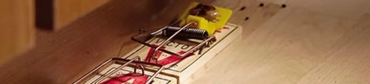 Rodent trap set indoors for rodent control and prevention in Columbus, OH
