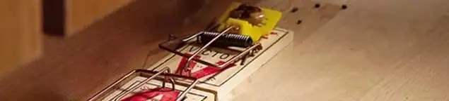 Rodent trap set indoors for rodent control and prevention in Columbus, OH